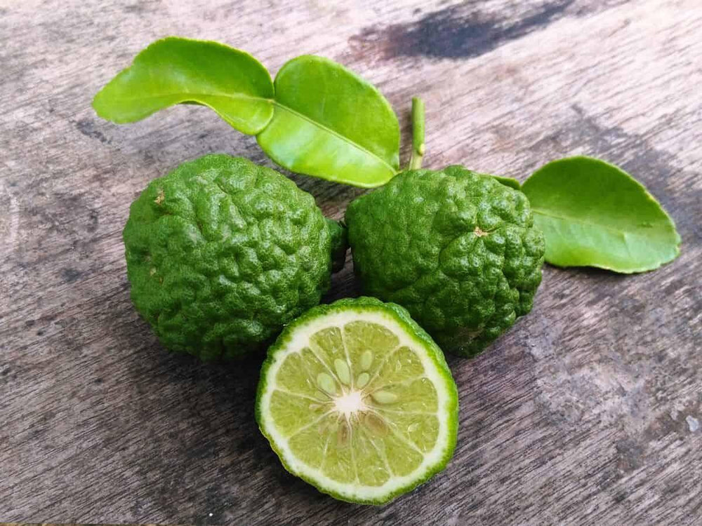 Makrut Lime Peel Powder — Green Botanica, product image 6