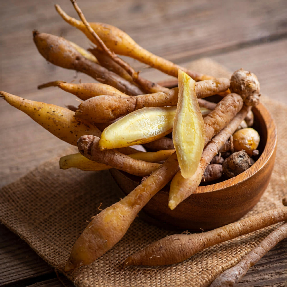 Fingerroot Powder — Green Botanica, product image 8