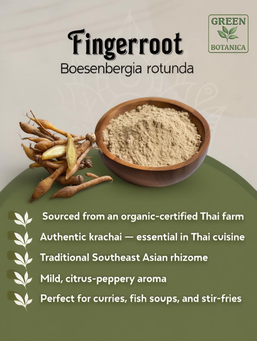 Fingerroot Powder — Green Botanica, product image 3
