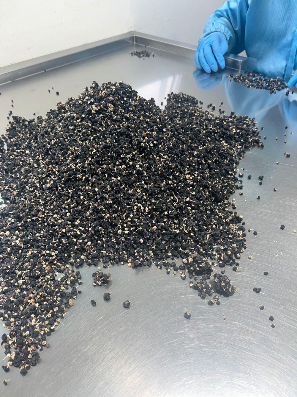 Black Goji Berries — Green Botanica, product image 9