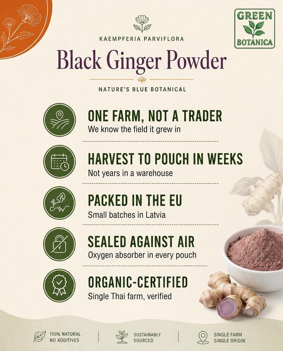 Black Ginger Powder — Green Botanica, product image 3