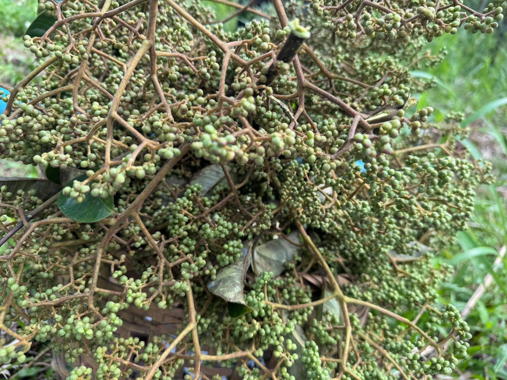Makhwaen Whole Peppercorns — product image 10